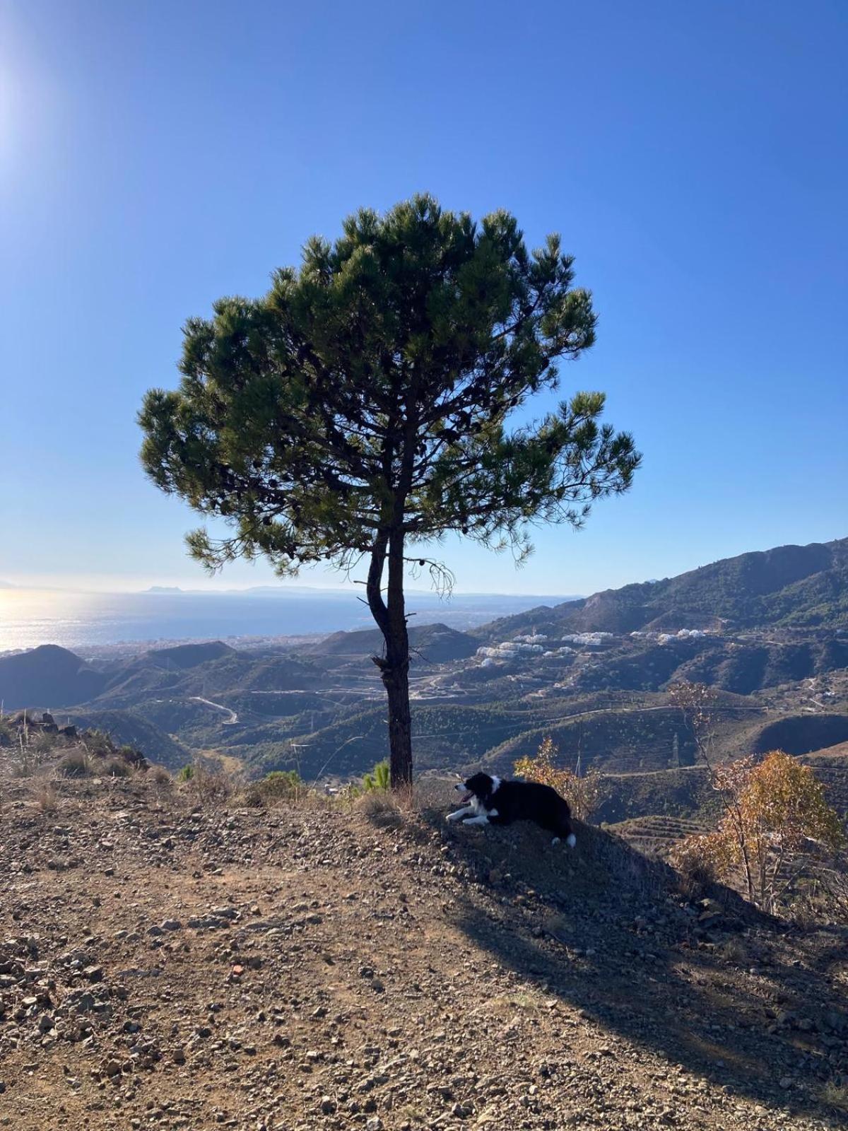 El Nido By Bh Marbella Leilighet Eksteriør bilde